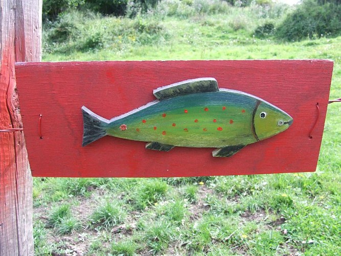 Balisage poisson