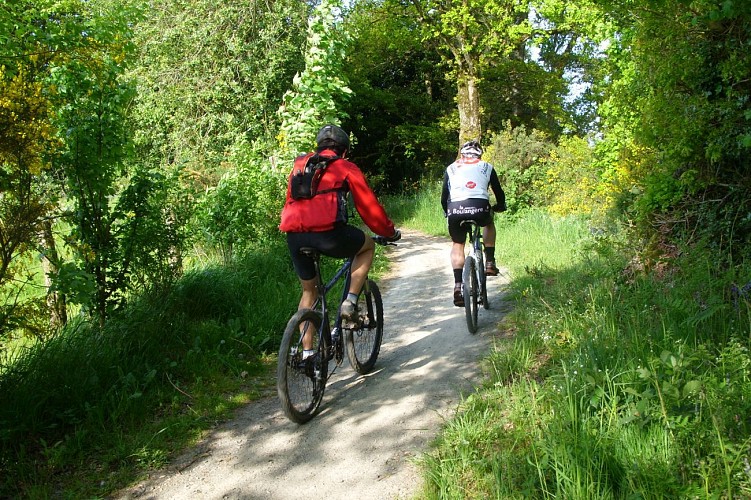 Vers le taillis de la Vaucelle