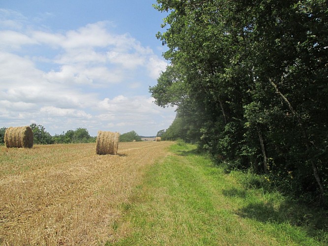 Le Chemin des Coteaux