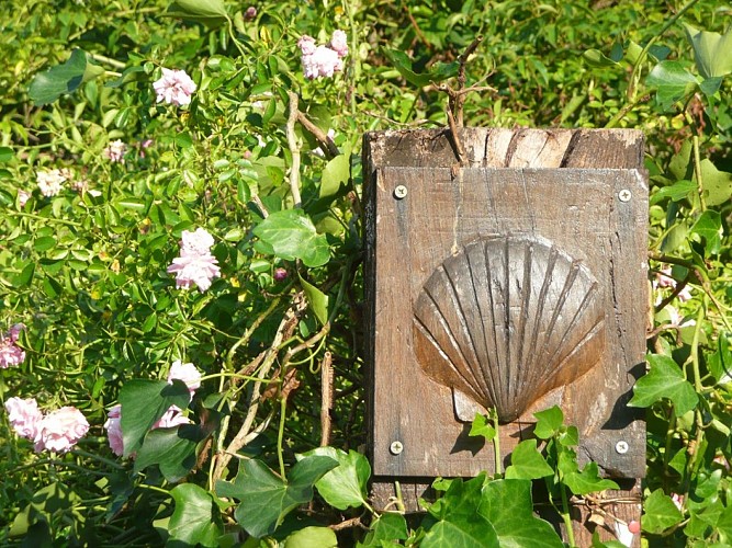 Un chemin de Saint-Jacques, variante Eymoutiers - Chamberet - Treignac