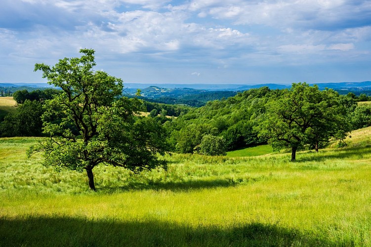 Bocage corrézien