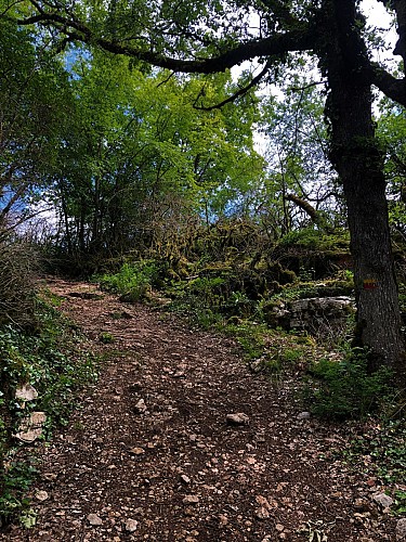 Randonnée des Gorges de Thurignin