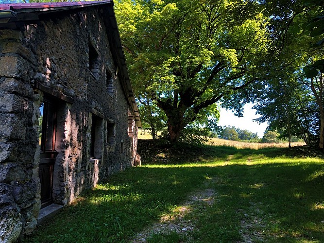 Hiking in Bugey: up to Chanduraz from Charaillin