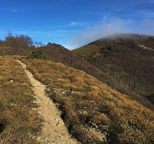 Hiking in Bugey: up to Chanduraz from Charaillin