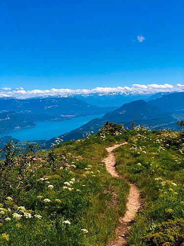Randonnée Chanduraz depuis Chavornay
