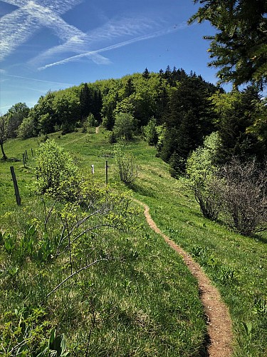 Randonnée des Crêtes de Sur Lyand