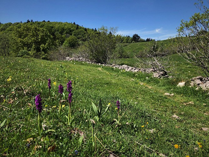 Randonnée des Crêtes de Sur Lyand