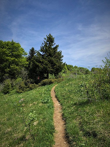 Randonnée des Crêtes de Sur Lyand