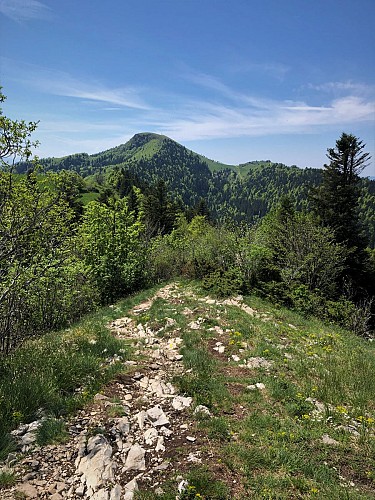 Randonnée des Crêtes de Sur Lyand