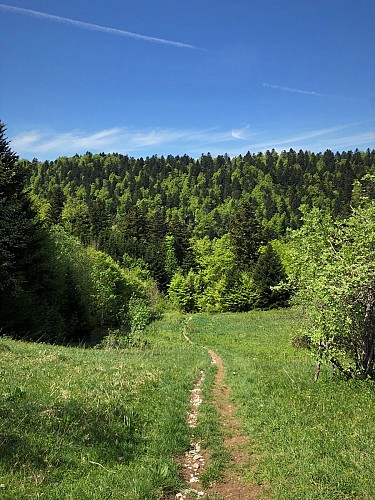 Randonnée des Crêtes de Sur Lyand