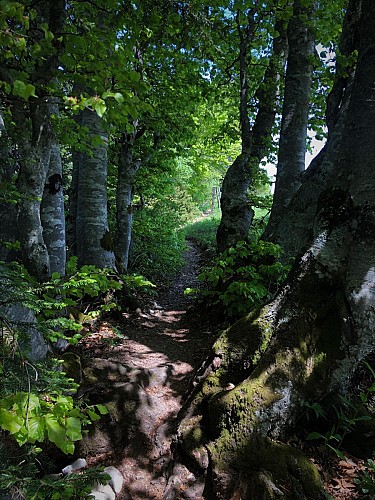 Randonnée des Crêtes de Sur Lyand