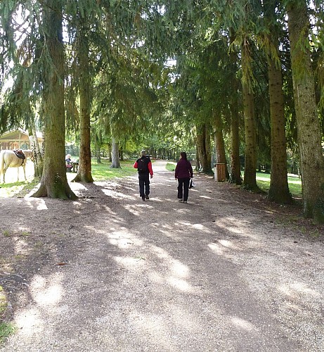 Circuits de randonnée de la forêt de Rothonne