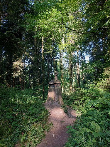 Balades dans la forêt de Rothonne