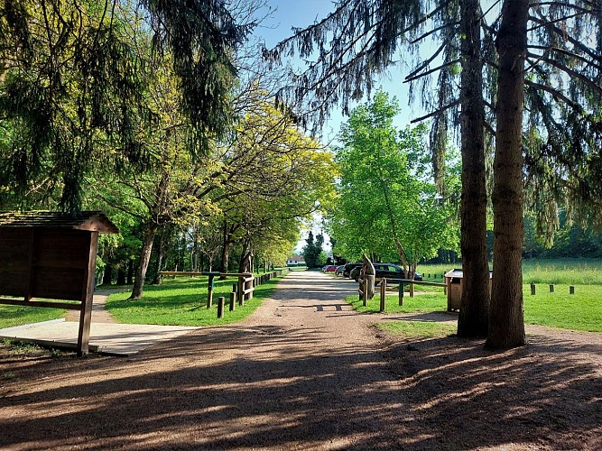 MTB-Strecke 1 grün - Der Wald von Rothonne: Le Renard - Espace FFC Ain Forestière