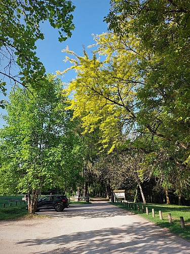 Pista BTT 1 verde - Bosque de Rothonne: Le Renard - Espace FFC Ain Forestière