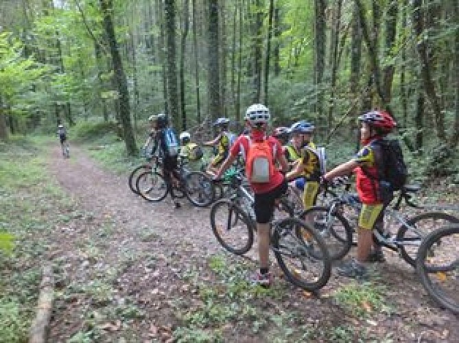 Трасса MTB 1 зеленая - Ротоннский лес: Le Renard - Espace FFC Ain Forestière