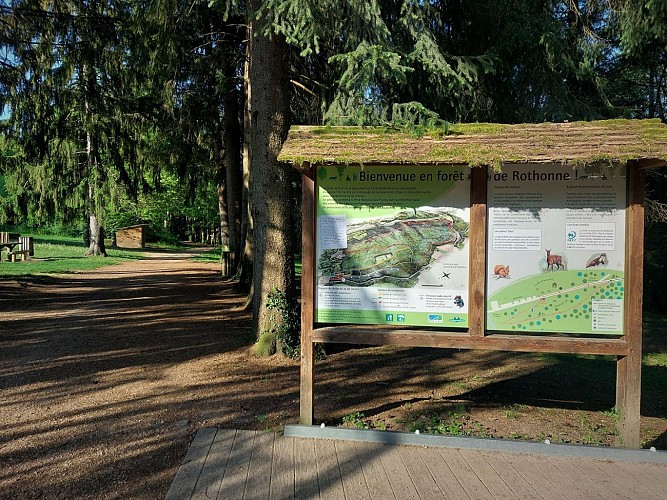 MTB-Strecke 2 blau - Der Wald von Rothonne: Le Cerf - Espace FFC Ain Forestière