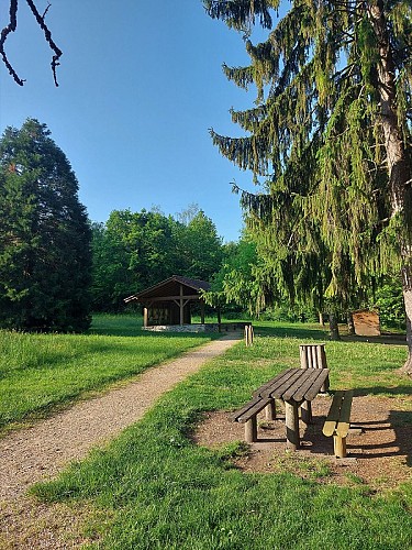 MTB track 2 blue - Rothonne forest: Le Cerf - Espace FFC Ain Forestière