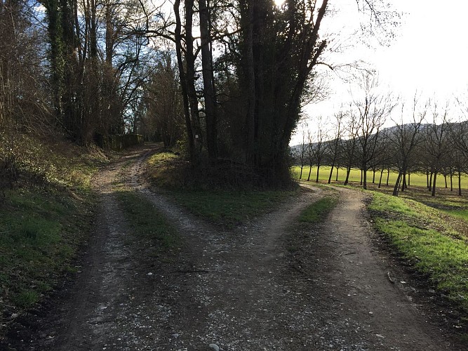 3 MTB Trail - Bognens - Les Baraques - Espace FFC Ain Forestière