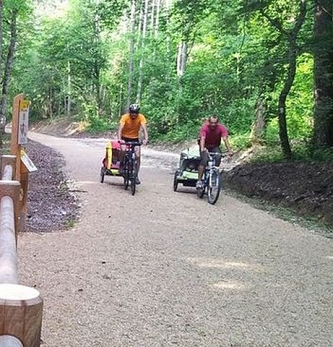 Belley circuit VTT forêt de Rothonne