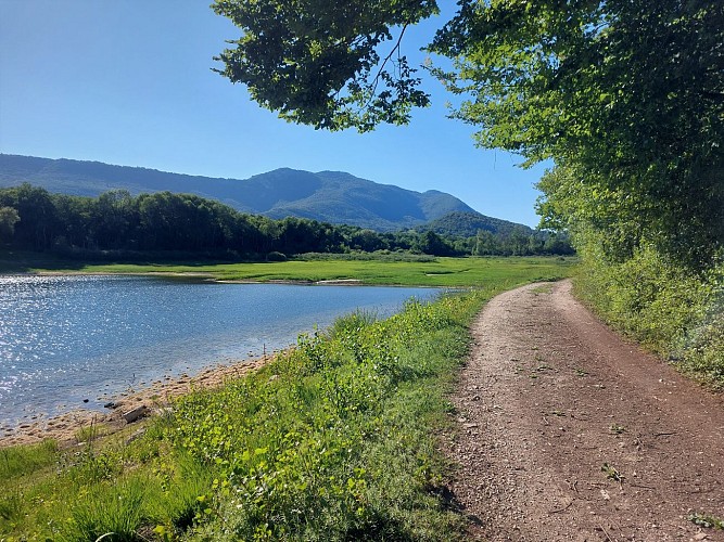 MTB-Strecke 5 rot - Der See von Armaille - Espace FFC Ain Forestière