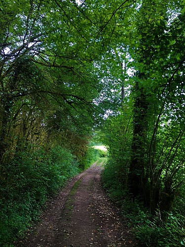 6-red MTB trail - Les Enfants du Marais - Espace FFC Ain Forestière