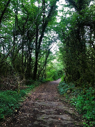 6-red MTB trail - Les Enfants du Marais - Espace FFC Ain Forestière