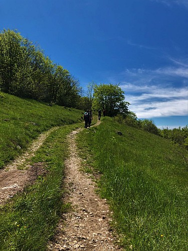 Sentier nature "Sentier du Maquis"