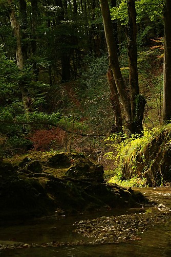 Wandern: Schaltung des Clairefontaine-Wasserfalls