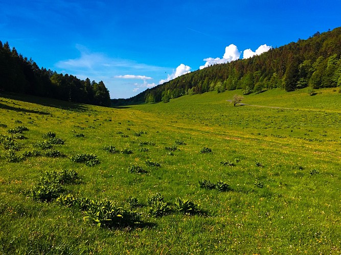 Hike in Bugey: Les crêtes d'Hergues