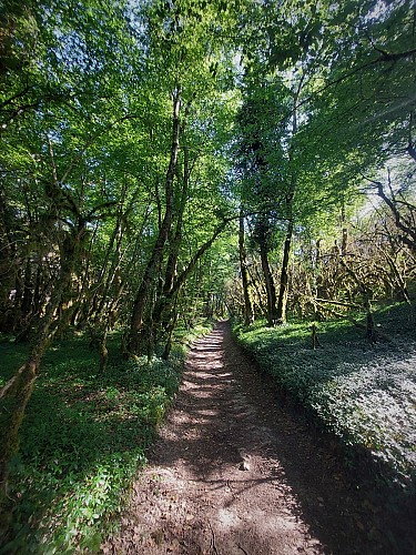 Hike : Armaille Lake