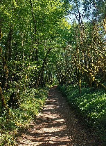 Hike : Armaille Lake