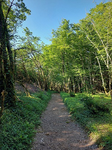 Hike : Armaille Lake