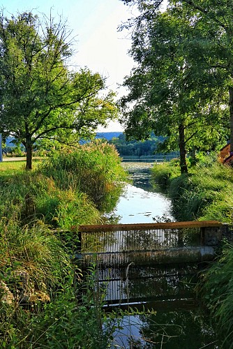 Hike : Lake and vineyards