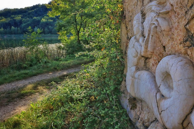 Hike : Lake and vineyards