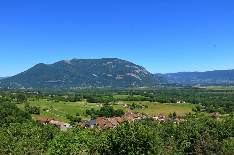 Randonnée Lac et vignobles