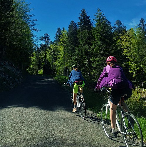 Circuit vélo : Le Plateau de Retord entre combes et cols