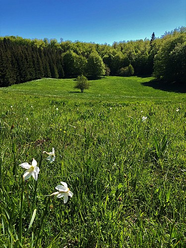 Le Plateau de Retord entre combes et cols