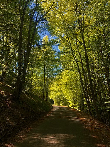 Le Plateau de Retord entre combes et cols