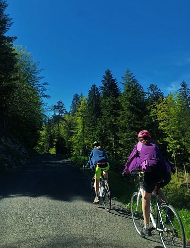 Le Plateau de Retord entre combes et cols