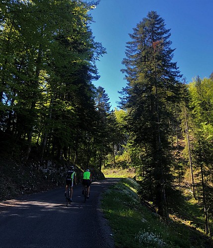 Le Plateau de Retord entre combes et cols