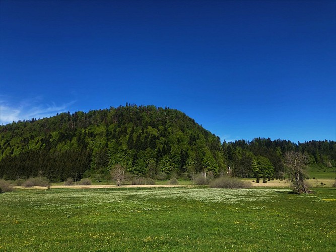 Le Plateau de Retord entre combes et cols