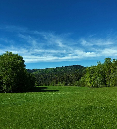 Le Plateau de Retord entre combes et cols