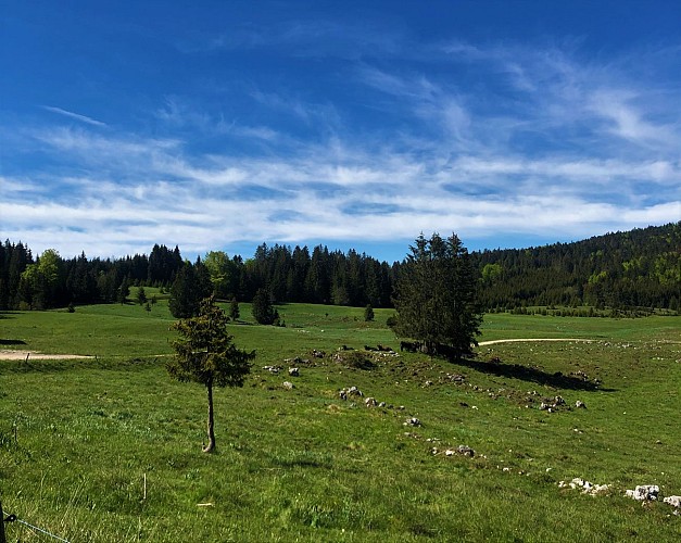 Le Plateau de Retord entre combes et cols