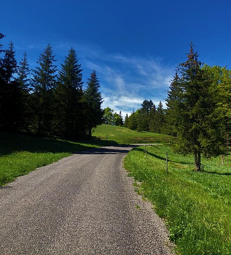 Le Plateau de Retord entre combes et cols