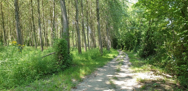 Cycling tour: follow the water, between Rhone and Guiers.