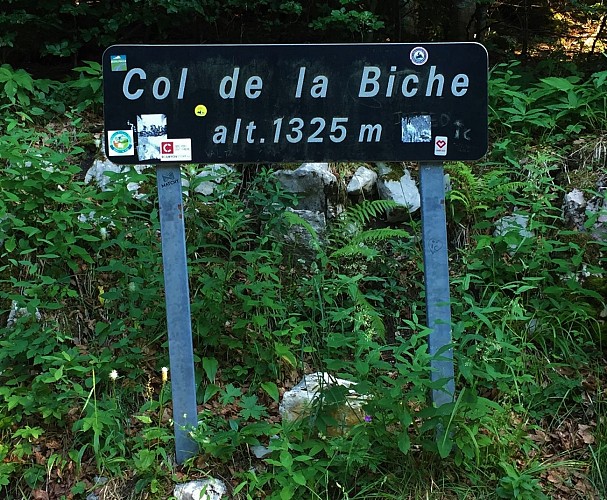 Cycling route: Grand Colombier and Col de la Biche from Les Plans d'Hotonnes