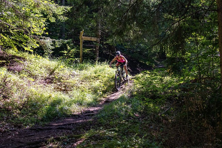 Enduro routebeschrijving - Opinel