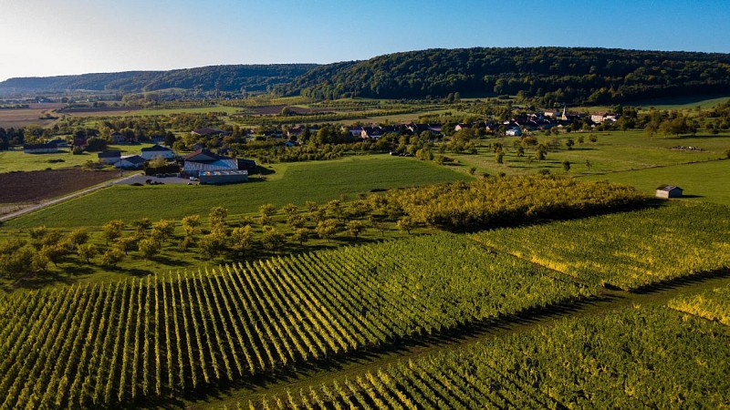 Route des Vins en Meuse