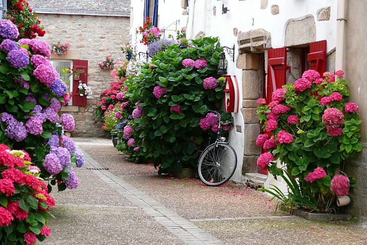 Cités de caractère - A vélo de Guérande à Piriac